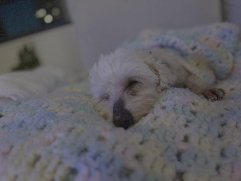 Benny Blanco (200)