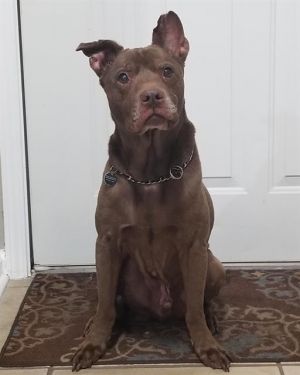 FLIP, Senior Male unknown
