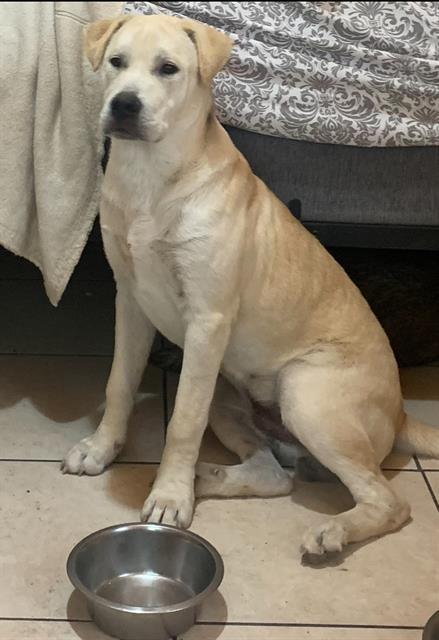 ZUKO