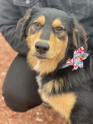 STELLA, Young Female unknown