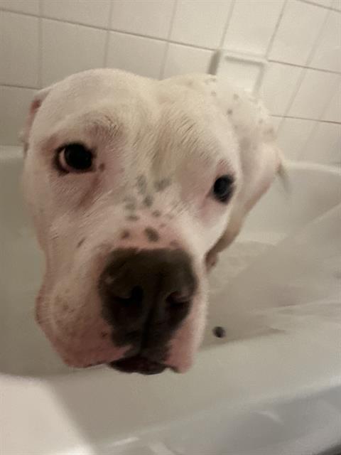CASPER