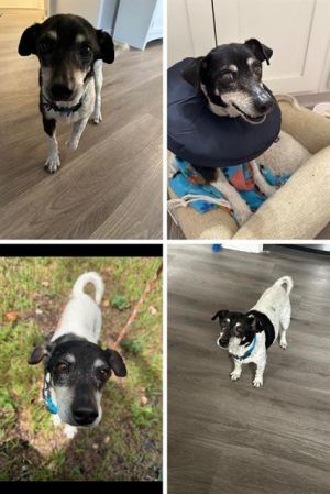 NALA, Senior Female unknown