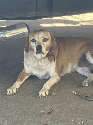 ZOE, Senior Female unknown