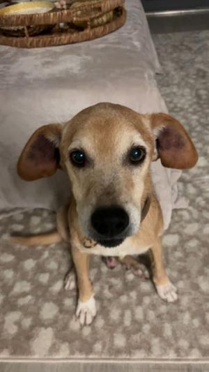 REMI, Senior Male unknown