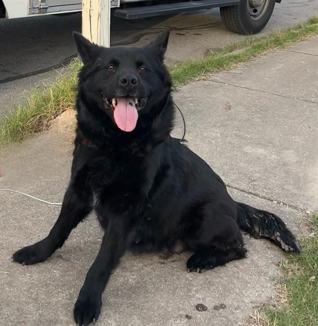 HERA