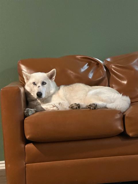 NOVA