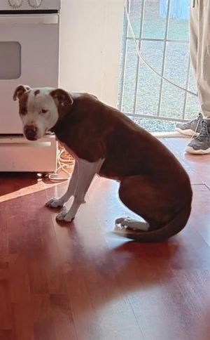 NALA, Young Female unknown