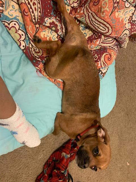 CHARLIE