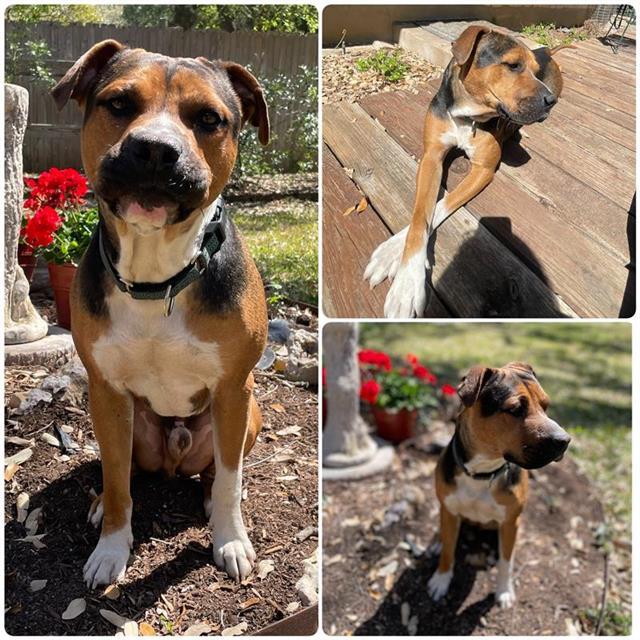 ROSCOE