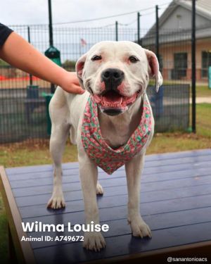 WILMA LOUISE, Young Female unknown