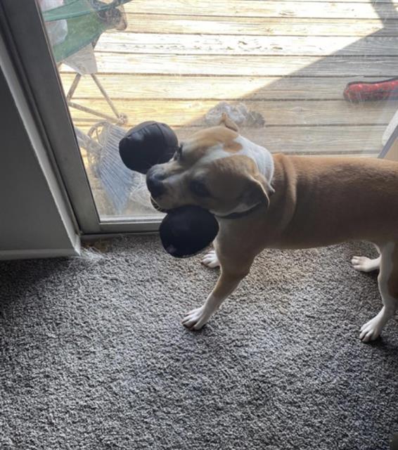 OSCAR