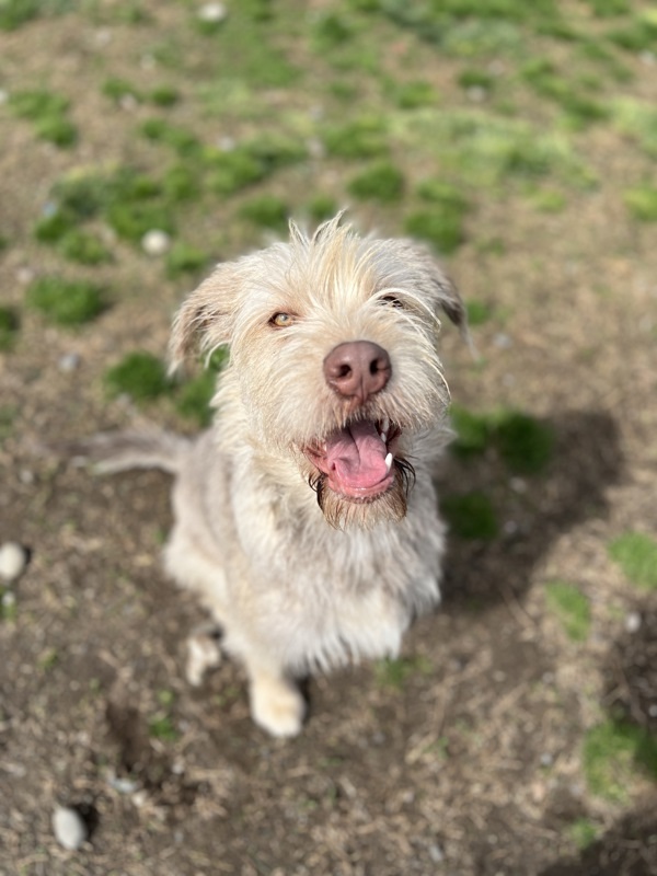 Zeke