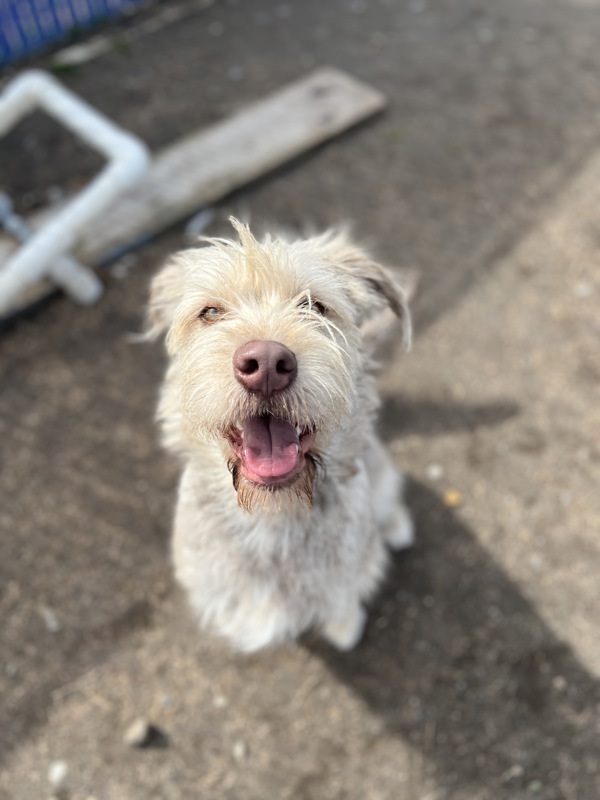 Zeke