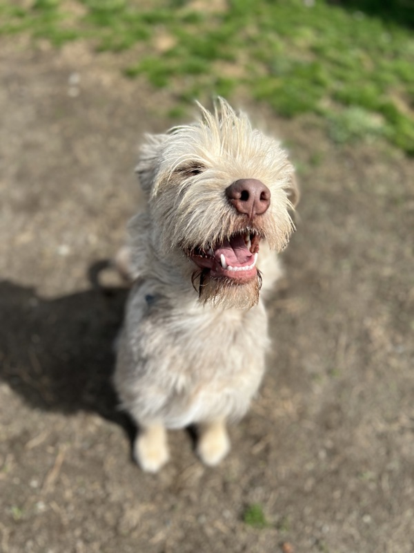 Zeke