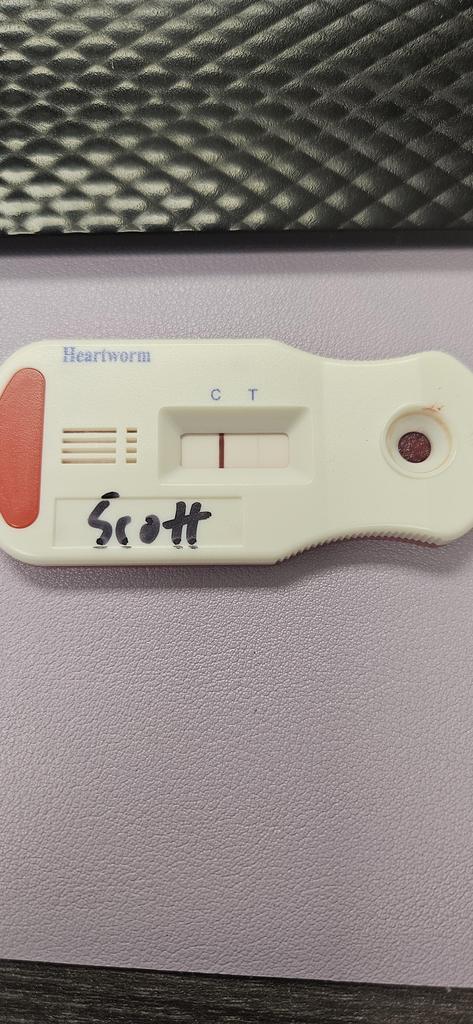 Scott