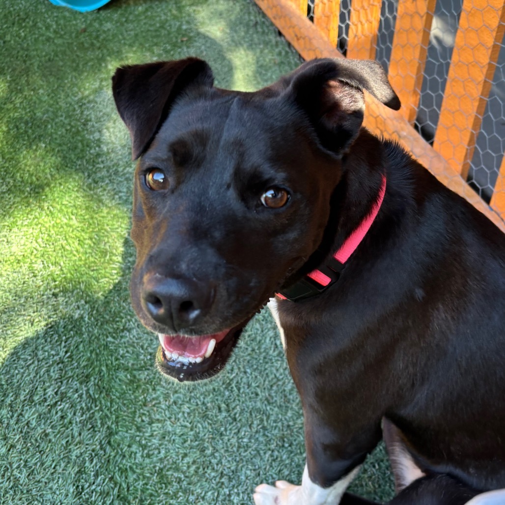 Megan A2107086