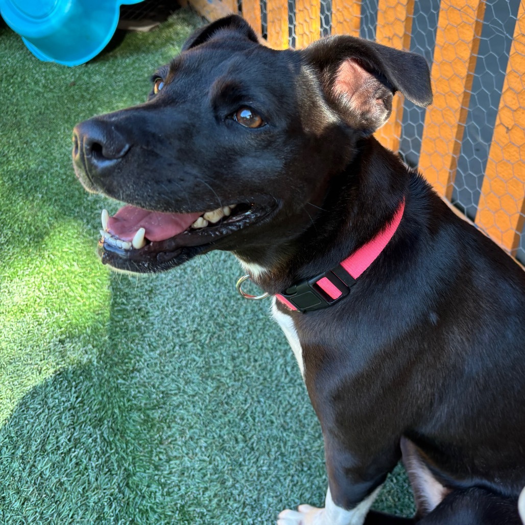 Megan A2107086