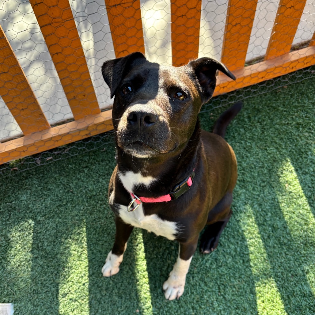 Megan A2107086