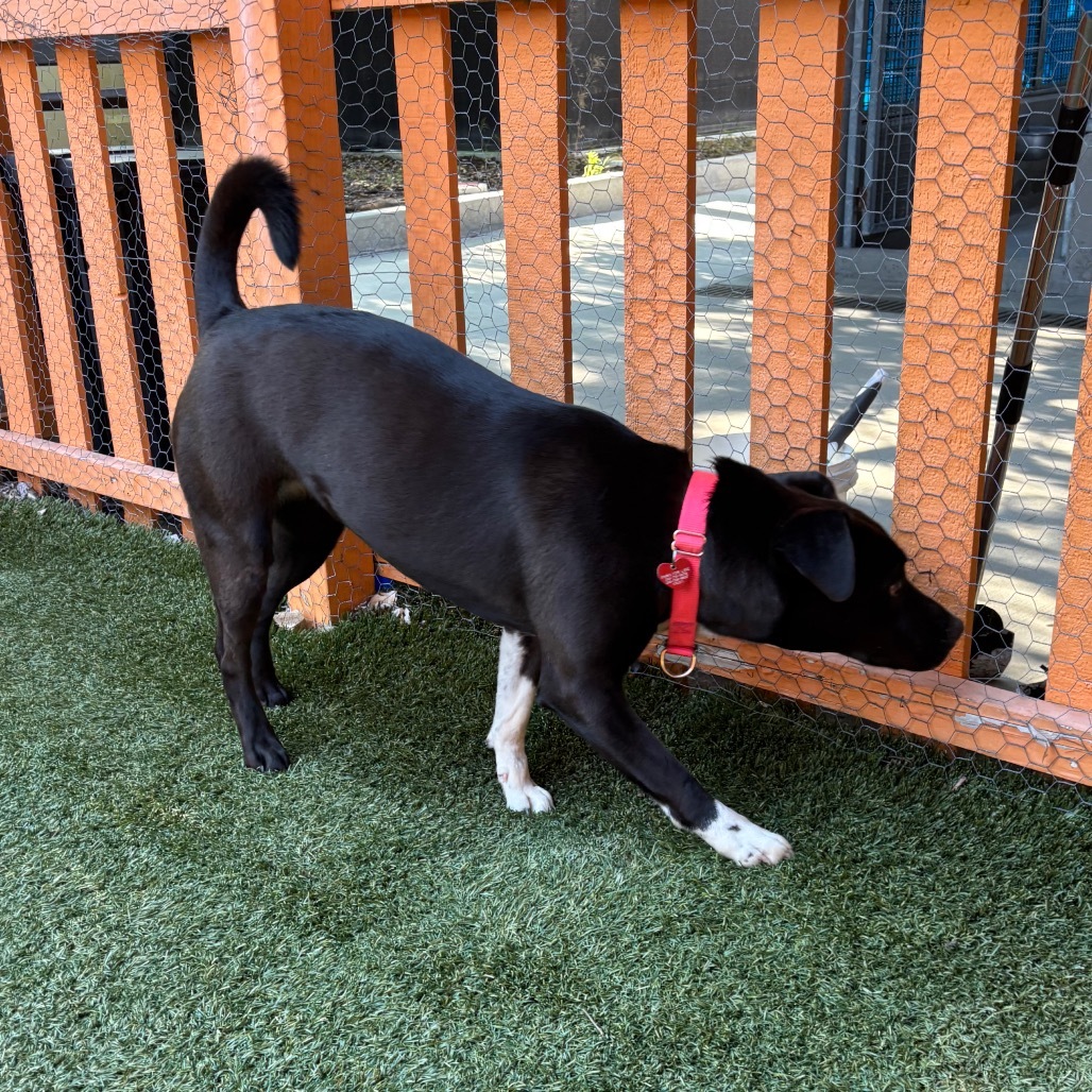 Megan A2107086