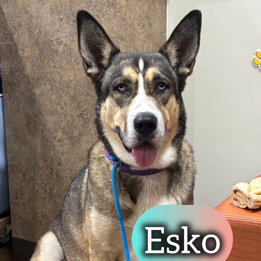 Esko