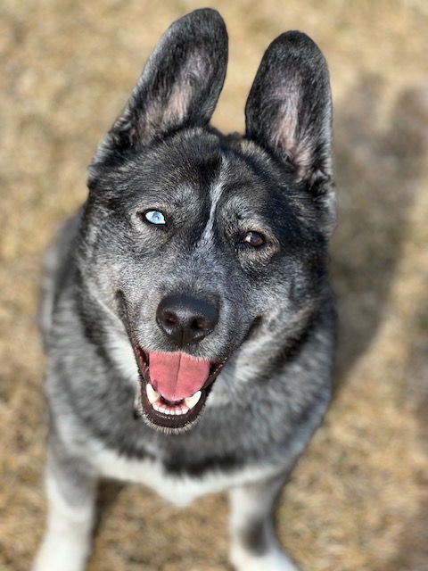 Aspen