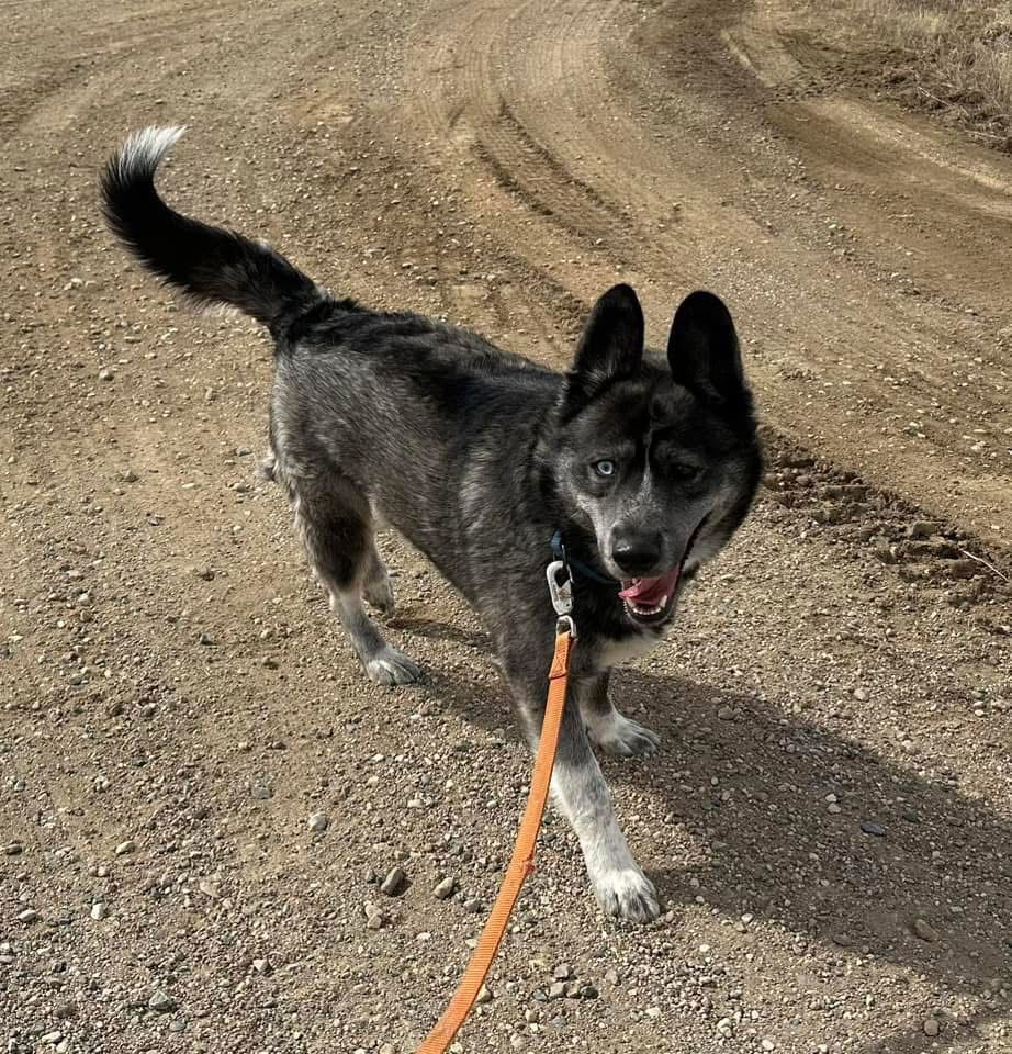Aspen