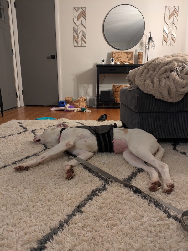 Suki