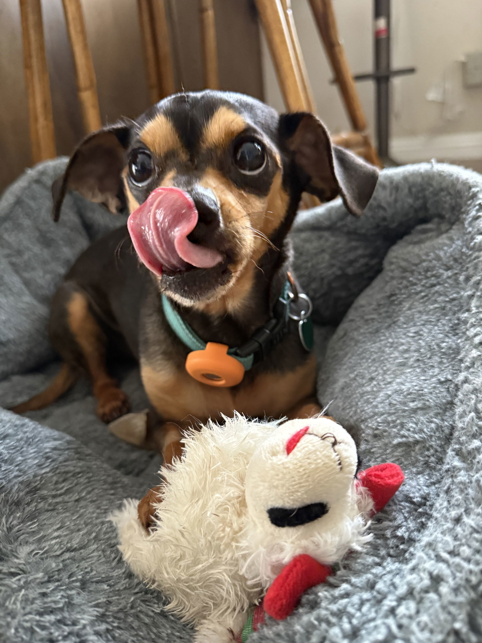 Taquito
