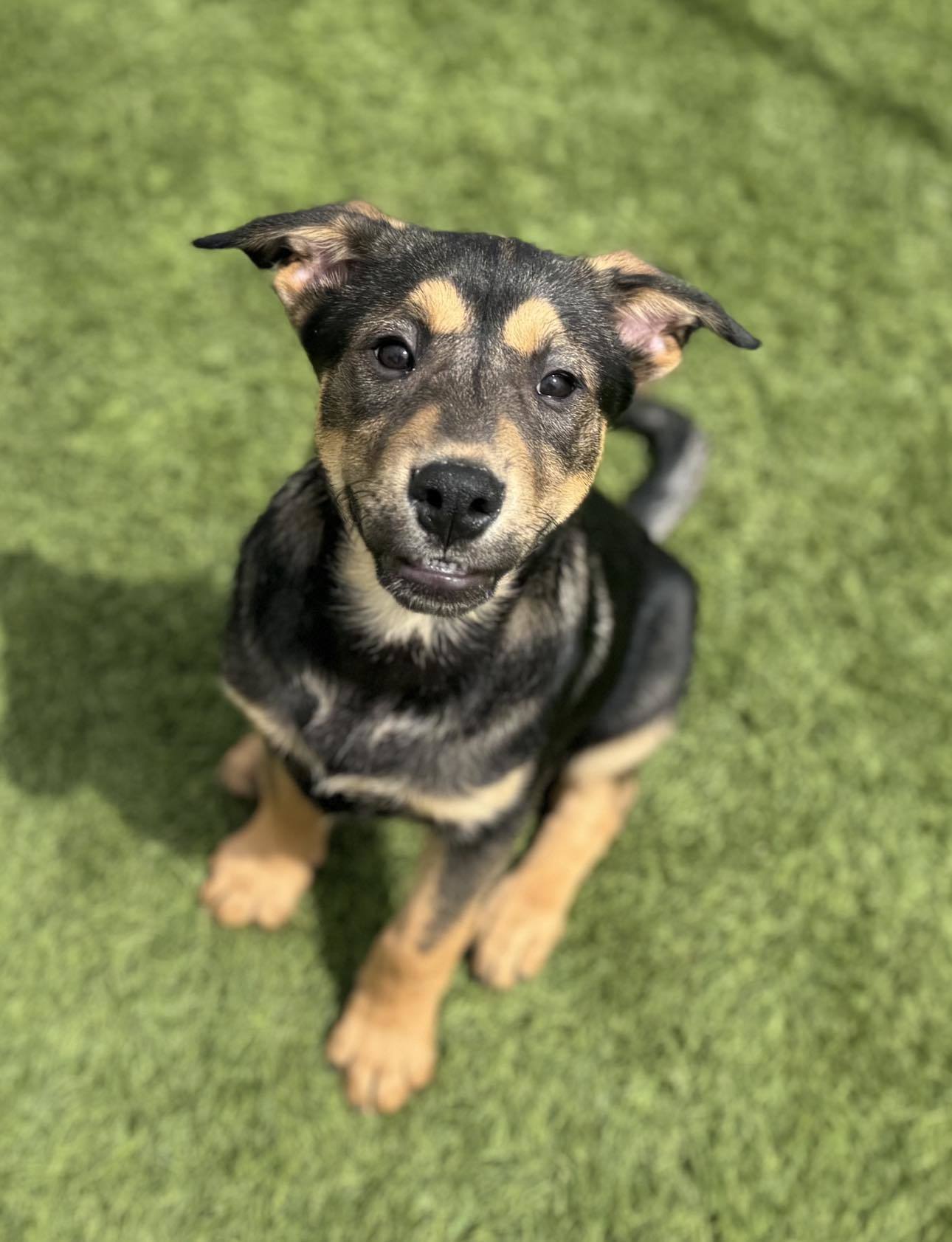 Zuko