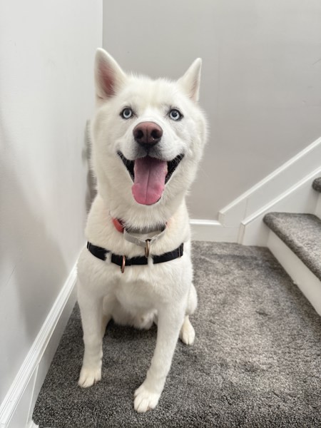 Ghost