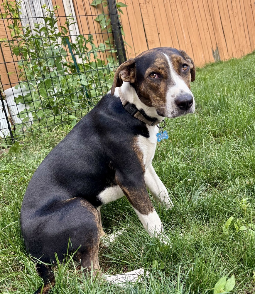 Ethel