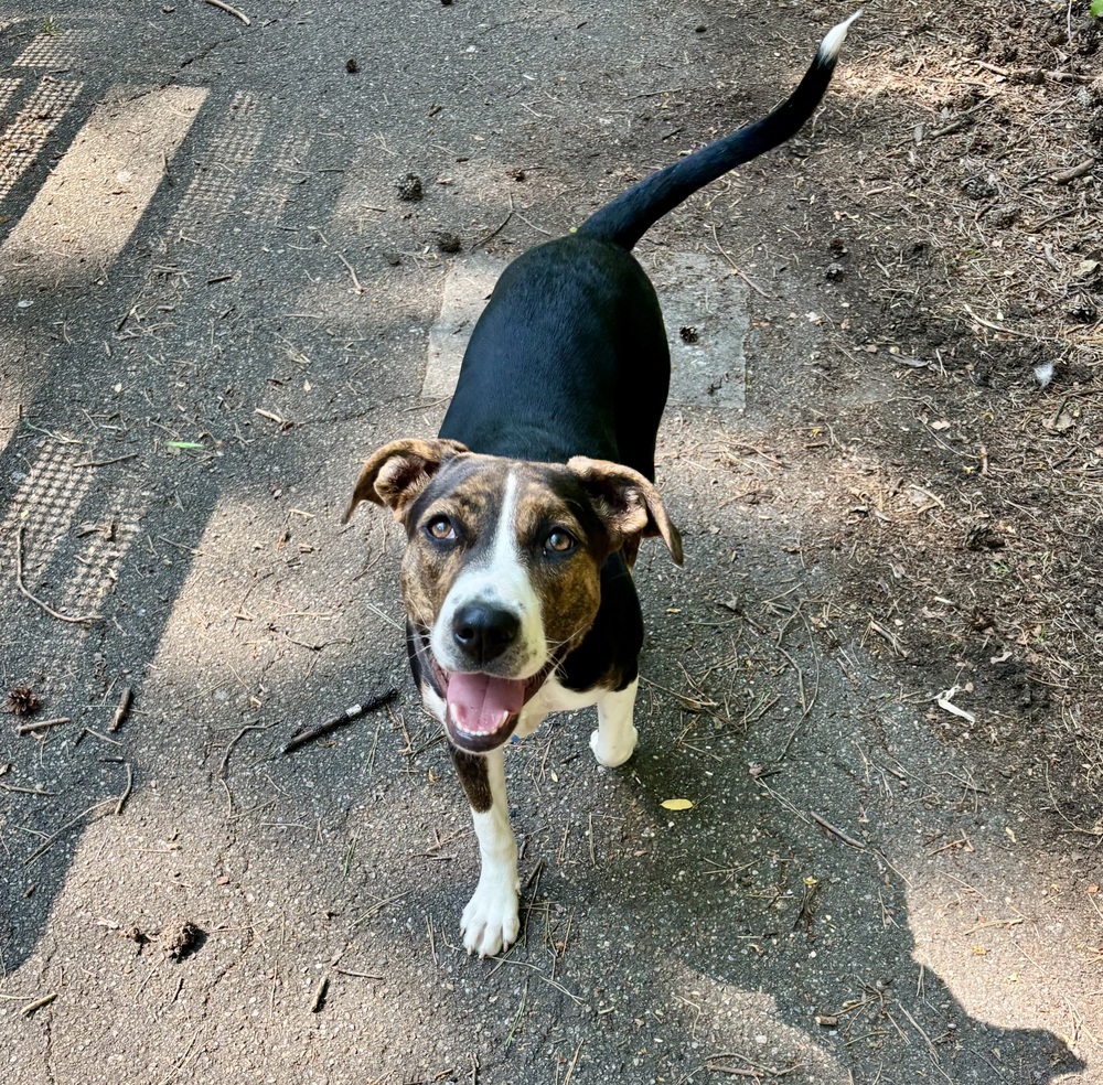 Ethel