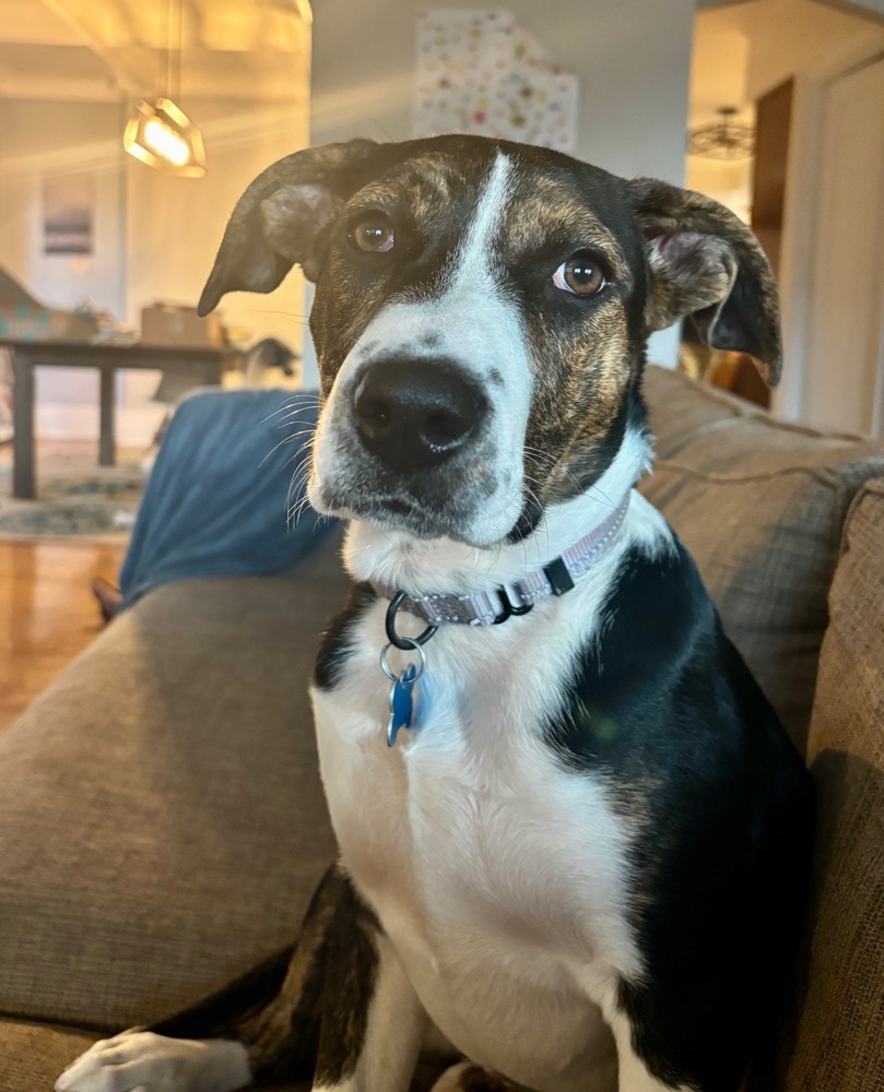 Ethel