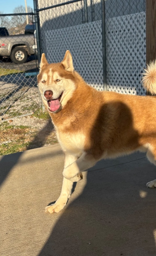 Zeus / Coco