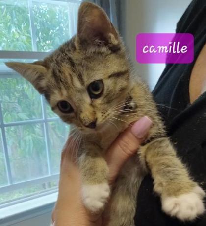 Camille