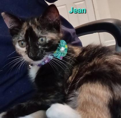Jean