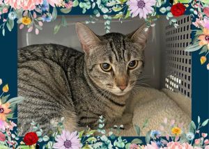 I am BONDED with NUTMEG we will need to go home together