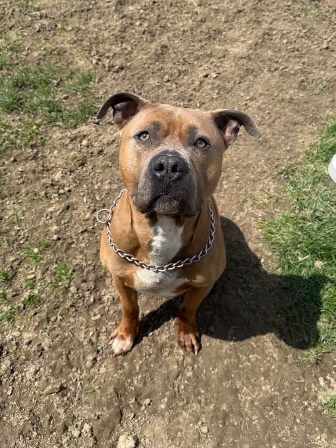 Roscoe