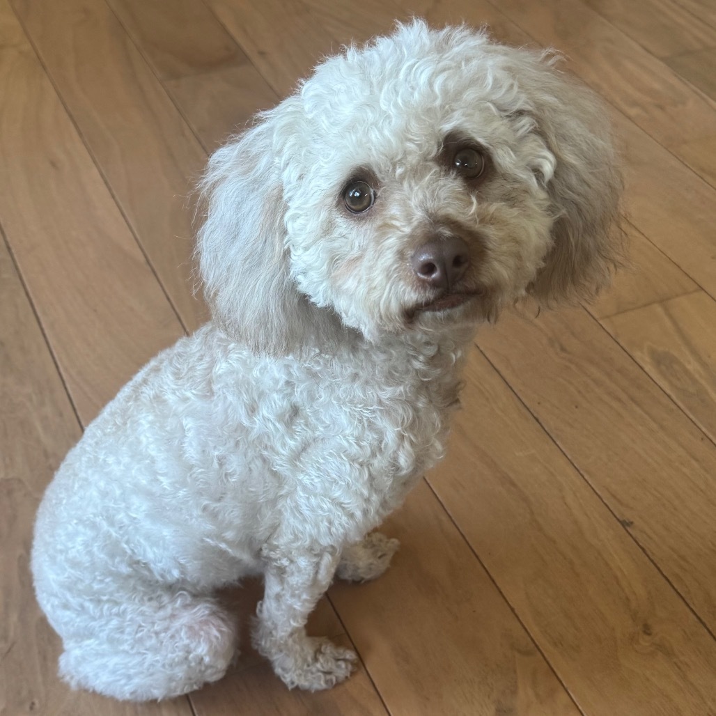 Matilda
