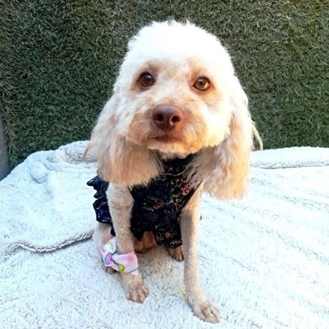 Matilda