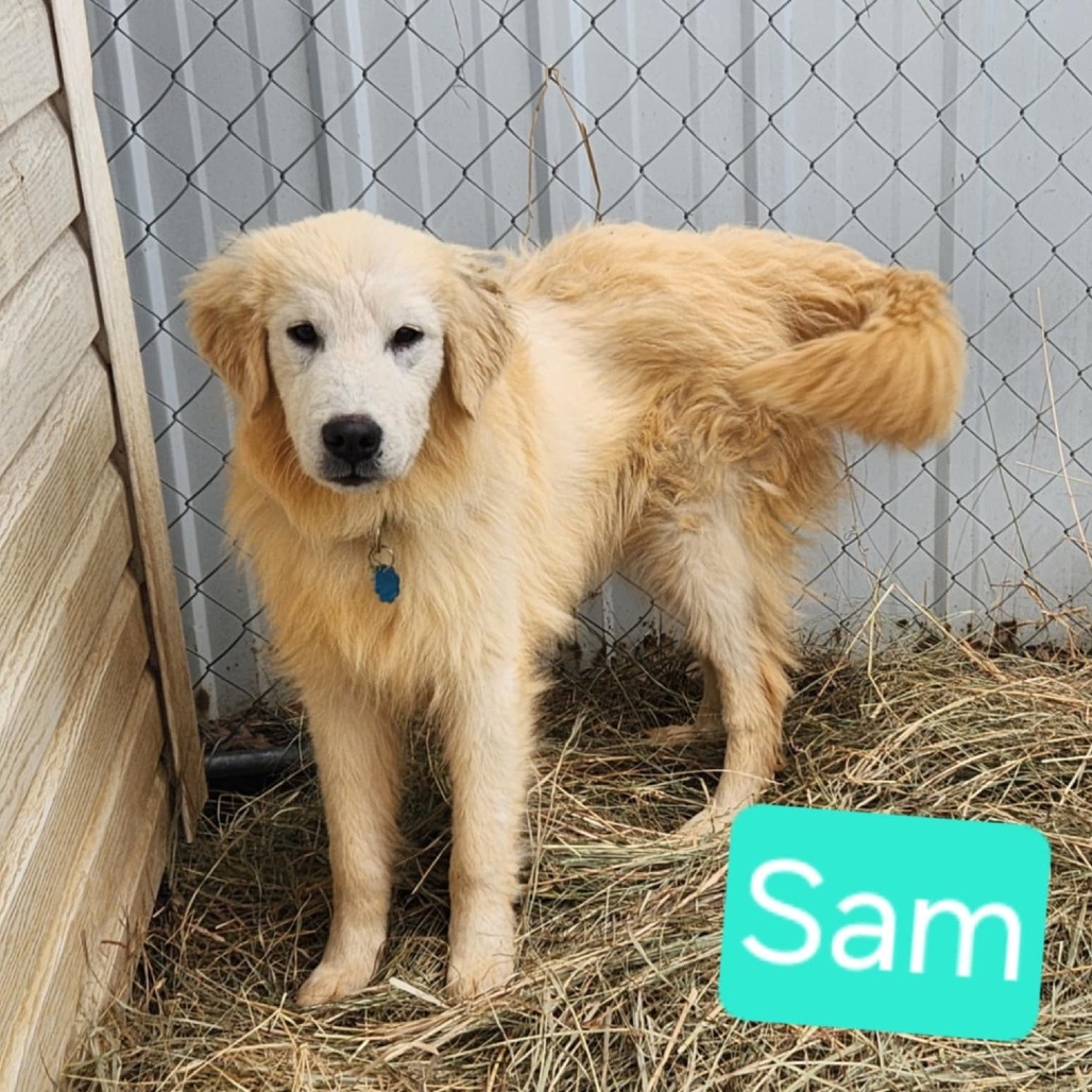 Sam