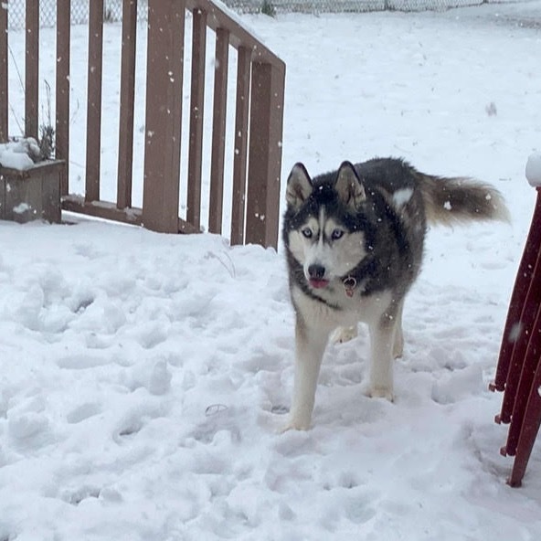 Lucy