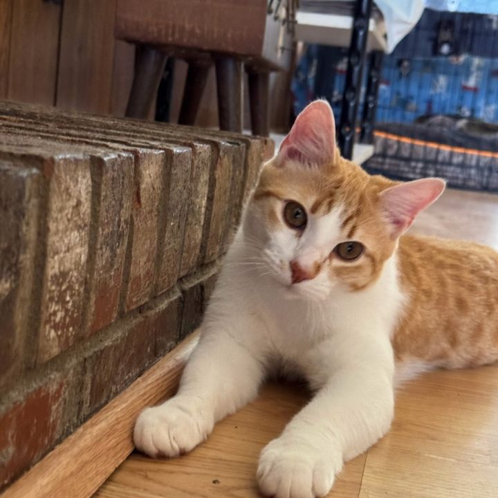 Fred 1