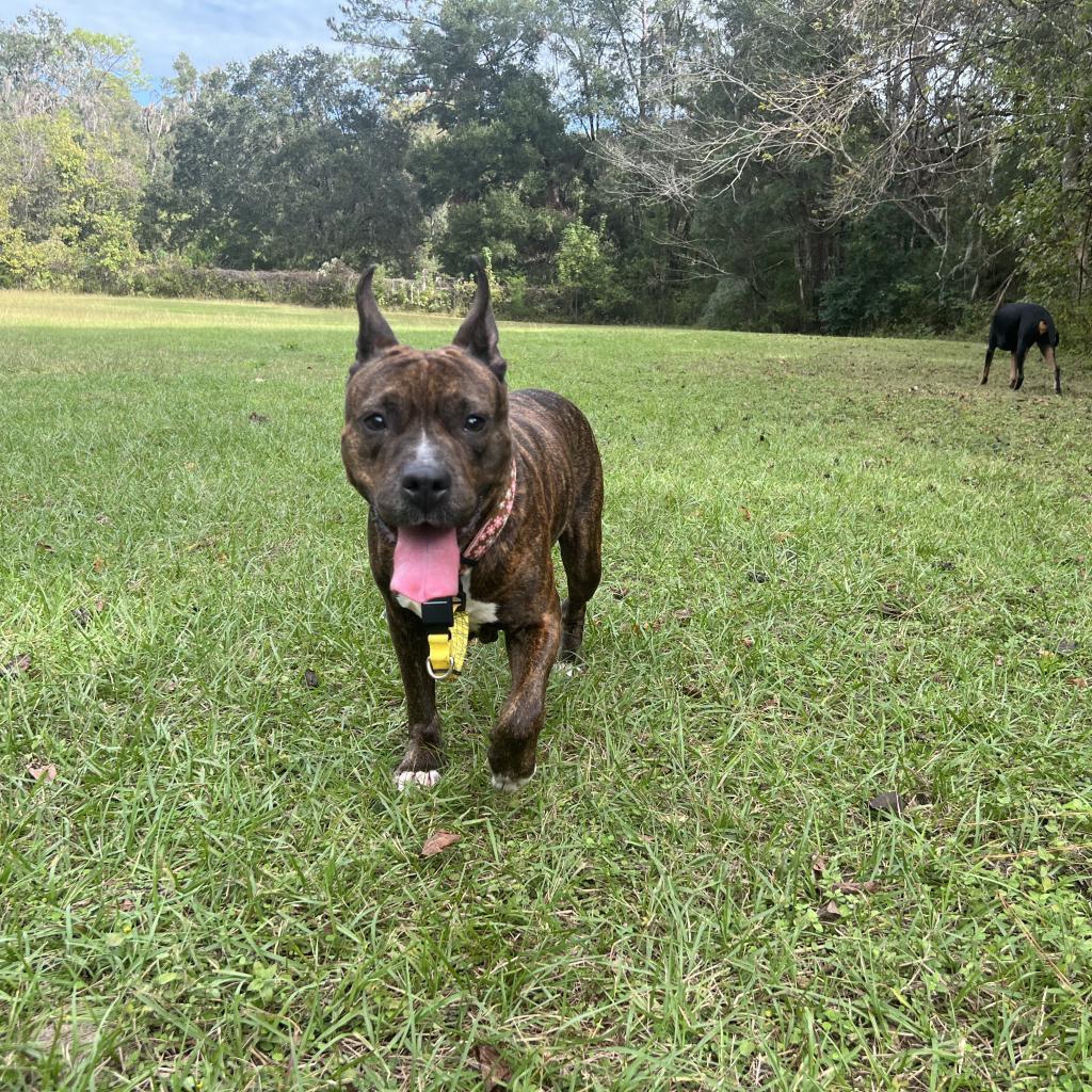Lola