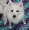 Nala photo 1