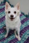 Lucky 2 photo 2