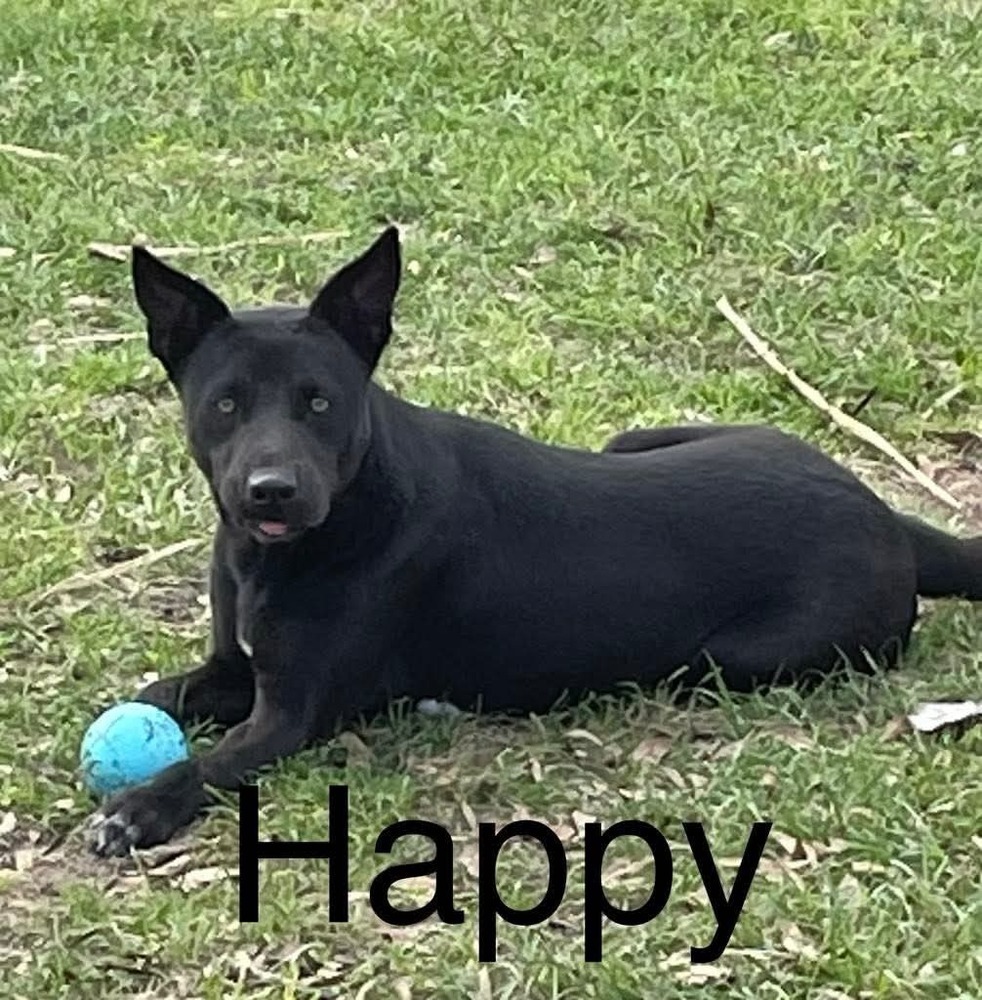 Happy