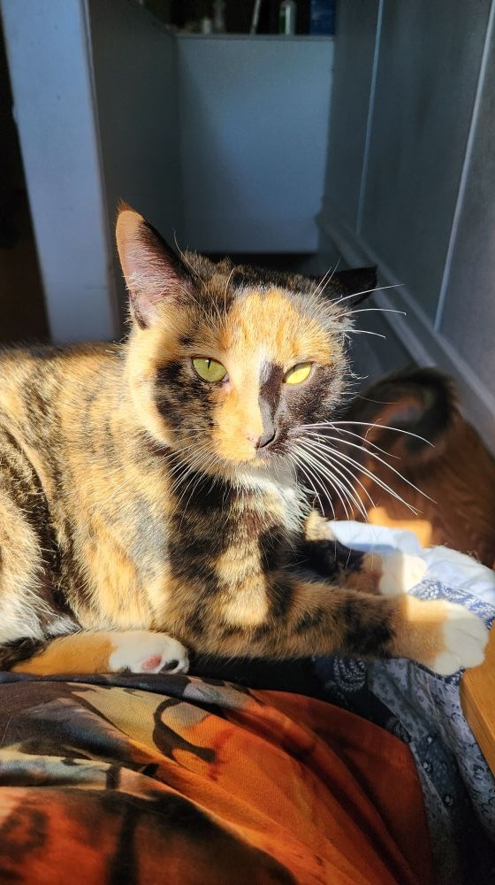 Freida
