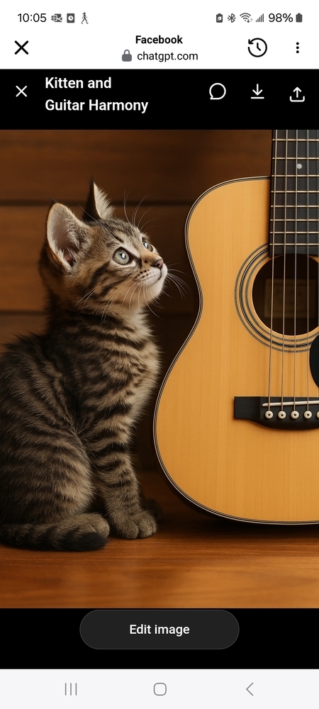 L- Light Lennon, an adoptable Domestic Short Hair in Moses Lake, WA, 98837 | Photo Image 1