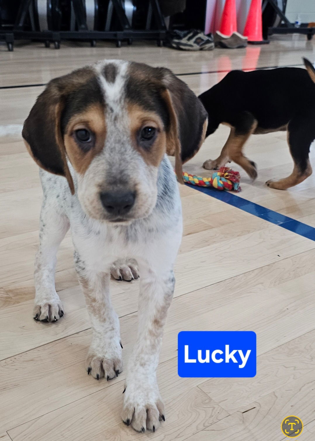 Lucky